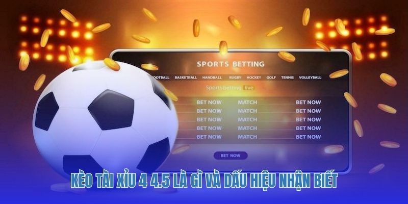 Kèo tài xỉu 4 4.5 là gì và dấu hiệu nhận biết